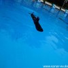 Froda2016 (48)